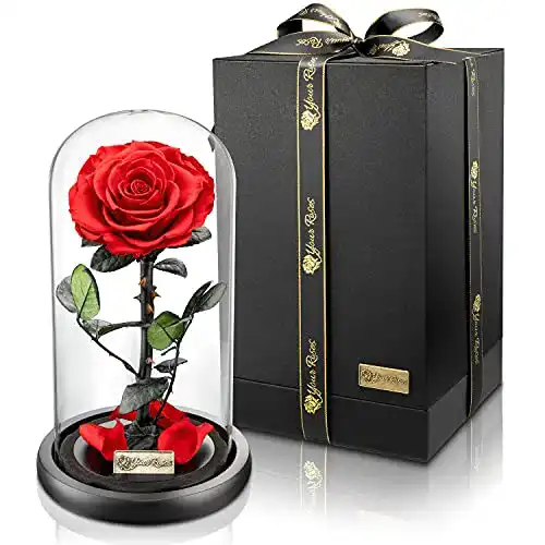 Ewige Rose Yourroses von Ziegler&Ribant – Echte Premium Rose im Glas