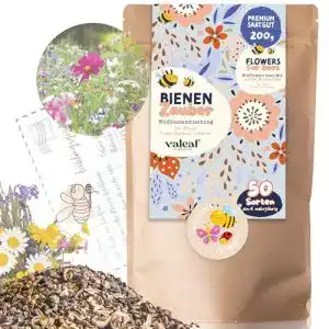 Blumenwiese Samen von Valeaf, 200g für 200m²