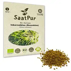 Kleesamen Inkarnatklee Rosenklee BIO Keimsprossen 30g von SaatPur
