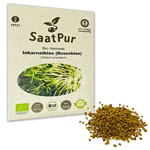 Kleesamen Inkarnatklee Rosenklee BIO Keimsprossen 30g von SaatPur