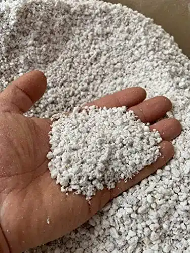 Perlite Pflanzen Roccia Perlit-Schaumstoff 10 Liter