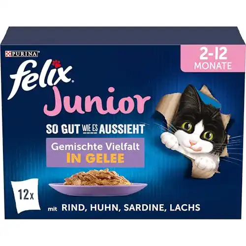 Felix Junior Kittenfutter Nassfutter für junge Katzen
