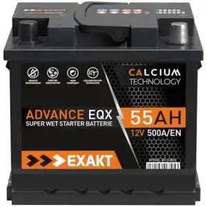 Autobatterie 55Ah 12V Starterbatterie für PKW und KFZ