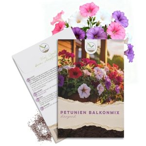 Petunien Samen für Balkonkasten und Blumenbeete im Mix