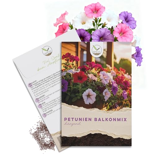 Petunien Samen für Balkonkasten und Blumenbeete im Mix