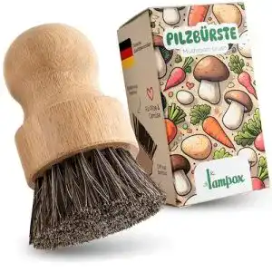 Pilzbürste Lampox – Champignonbürste aus Bambus mit Naturborsten