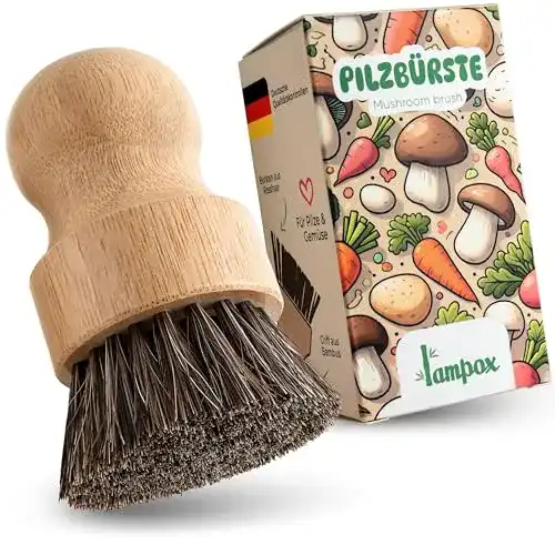 Pilzbürste Lampox – Champignonbürste aus Bambus mit Naturborsten