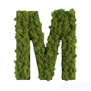 Moosbild Stylegreen Piktogramm Buchstabe M aus Islandmoos