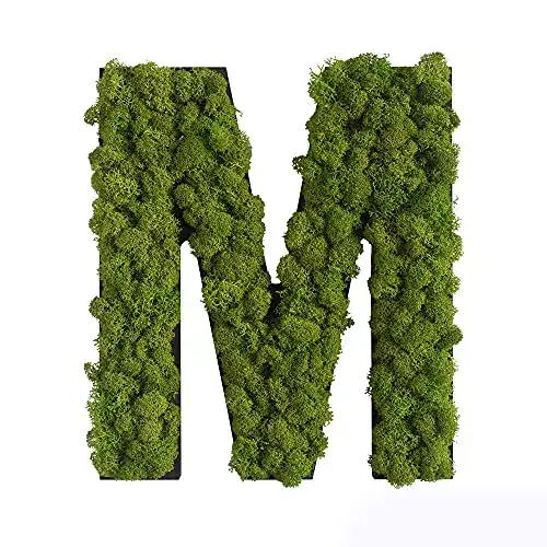 Moosbild Stylegreen Piktogramm Buchstabe M aus Islandmoos