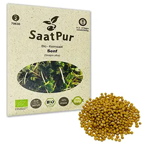 Senfsamen SaatPur Bio Keimsprossen für gesunde Ernährung