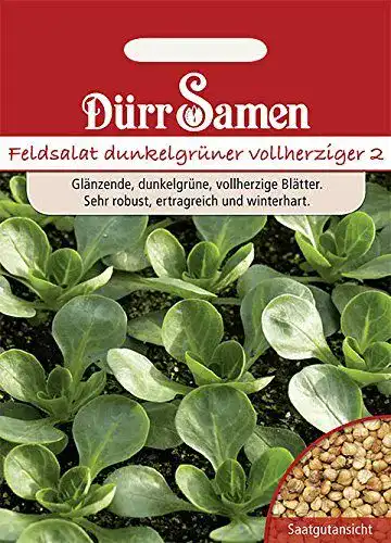 Feldsalat-Samen Dürr-Samen Dunkelgrüner Vollherzig