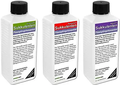 Kakteendünger Set für Kakteen und Sukkulenten