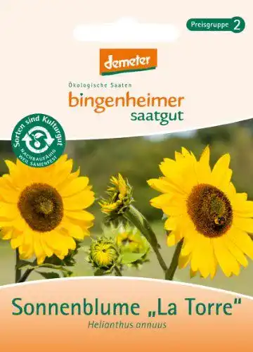 Sonnenblumen-Samen Bingenheimer Saatgut – La Torre
