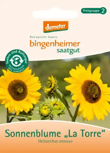 Sonnenblumen-Samen Bingenheimer Saatgut – La Torre