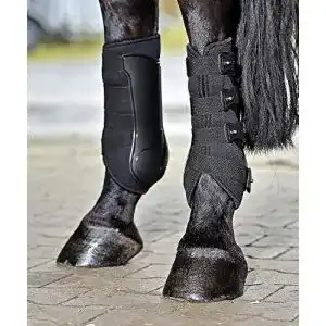 Dressurgamasche Busse Dressage-Pro in Größe M schwarz