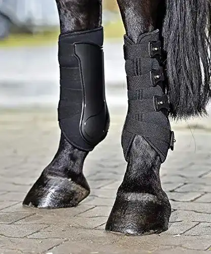 Dressurgamasche Busse Dressage-Pro in Größe M schwarz