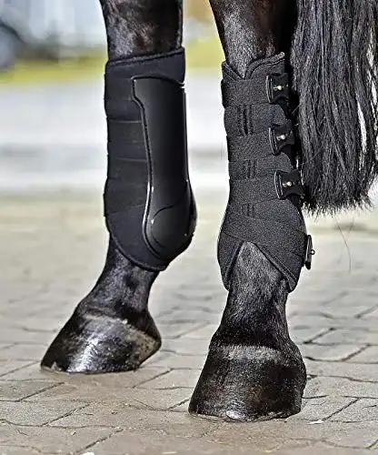 Dressurgamasche Busse Dressage-Pro in Größe M schwarz
