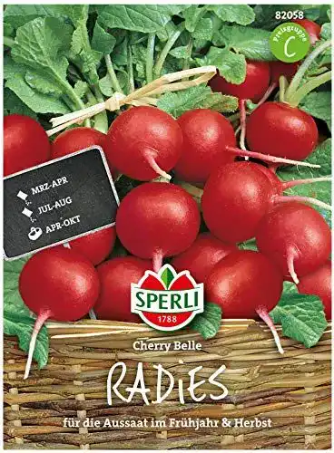 Radieschen Samen Sperli Premium Cherry Belle – Frühreifend & Mild