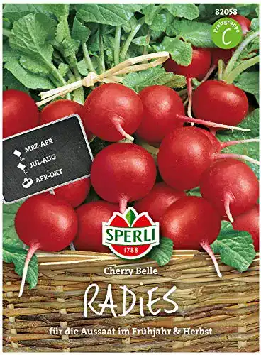 Radieschen Samen Sperli Premium Cherry Belle – Frühreifend & Mild