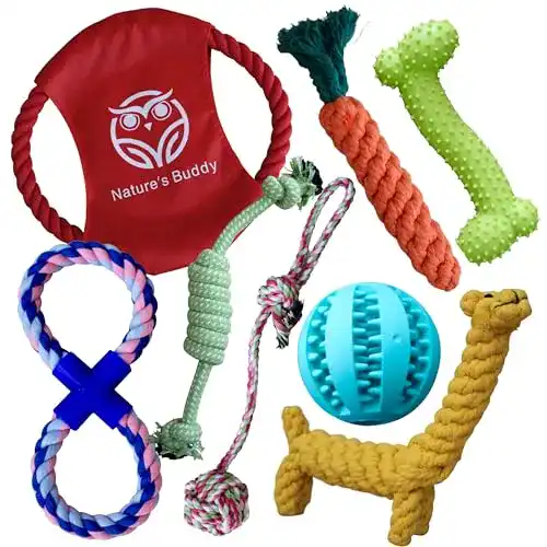 Robustes Hundespielzeug Buddy Wild für Outdoor-Aktivitäten