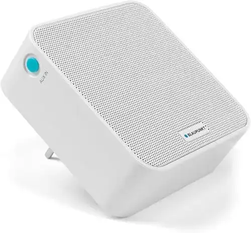 Blaupunkt PMR 100 Bluetooth Lautsprecher mit Chromecast-Funktion