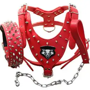 Hundegeschirr aus Leder mit Halsband und Leine im 3-teiligen Set