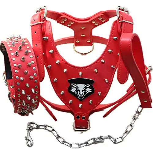 Hundegeschirr aus Leder mit Halsband und Leine im 3-teiligen Set