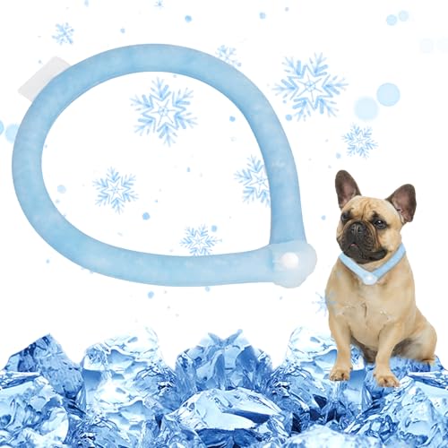Kühlhalsband für Hunde von Dewel für kleine und mittlere Hunde
