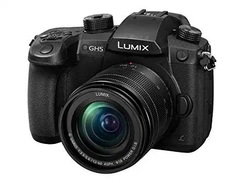 Panasonic Lumix DC-GH5MEG-K Systemkamera mit 20 MP und Dual I.S.