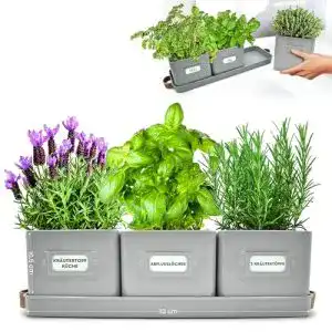 Kräutertopf Green Thumbz 3 Stück für Kräuteranbau