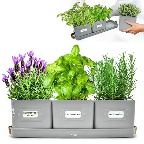 Kräutertopf Green Thumbz 3 Stück für Kräuteranbau