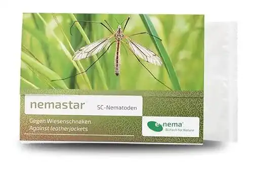 Nematoden NemaStar SC zur Bekämpfung von Maulwurfsgrillen