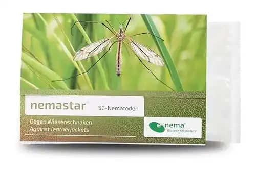 Nematoden NemaStar SC zur Bekämpfung von Maulwurfsgrillen
