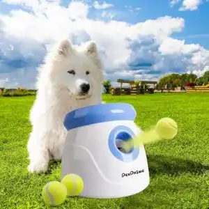 Ballwurfmaschine für Hunde – Pet Prime Automatischer Ballwerfer