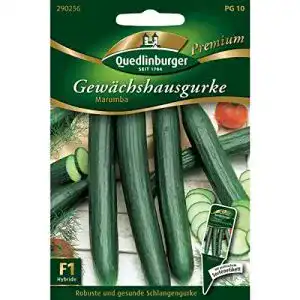Gurken-Samen Quedlinburger Gewächshausgurke Marumba, 1 Portion