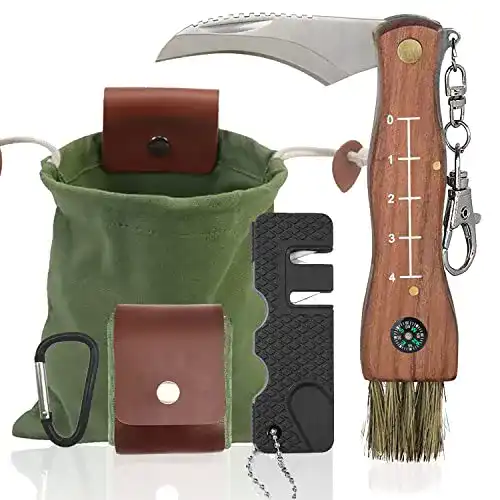 Pilzmesser mit Bürste und Lineal, Taschenmesser aus Edelstahl