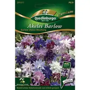 Akelei-Samen Barlow Choice Mischung von Quedlinburger