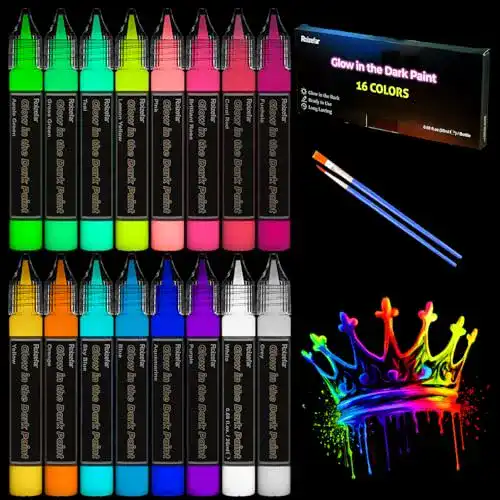 Neonfarben Roizefar Nachtleuchtende Farben 16×20ml für DIY Projekte