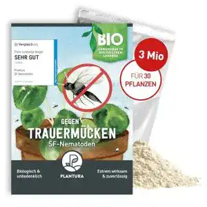 Nematoden Plantura SF gegen Trauermücken für 3 m²