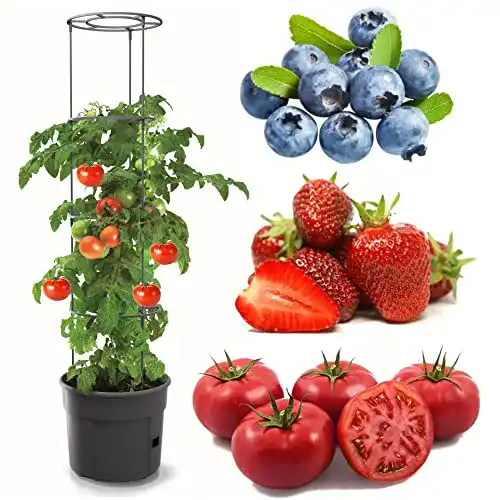 Tomatentopf Botle für Tomatenpflanze – Blumentopf mit Bewässerungssystem
