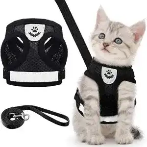 Katzengeschirr und Leine Set für Kitten und Welpen Ausbruchsicher und Verstellbar