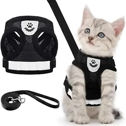 Katzengeschirr und Leine Set für Kitten und Welpen Ausbruchsicher und Verstellbar