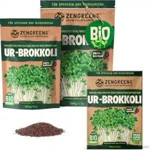 Bio Ur-Brokkoli Sprossen Samen von Zengreens – Verschiedene Größen verfügbar