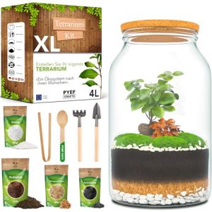 Flaschengarten Komplettset XL für Terrarien und Pflanzen im Glas