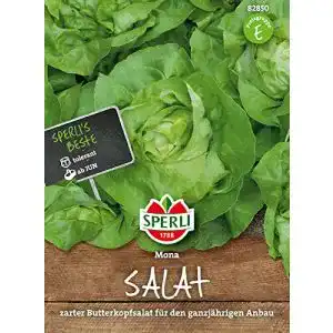 Kopfsalat Samen von Sperli 82850 für den Garten