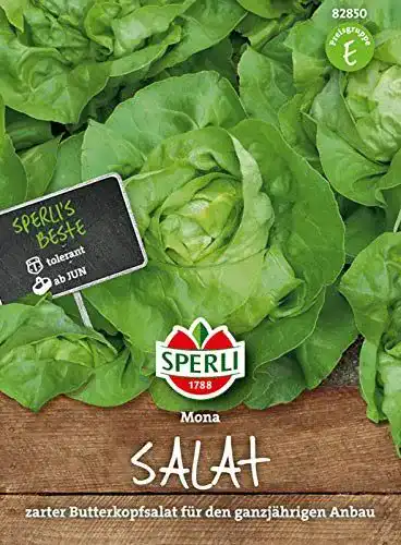 Kopfsalat Samen von Sperli 82850 für den Garten