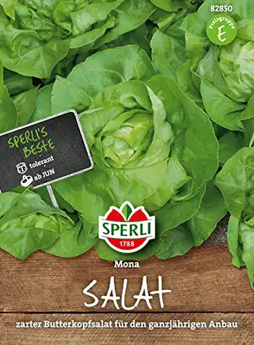 Kopfsalat Samen von Sperli 82850 für den Garten