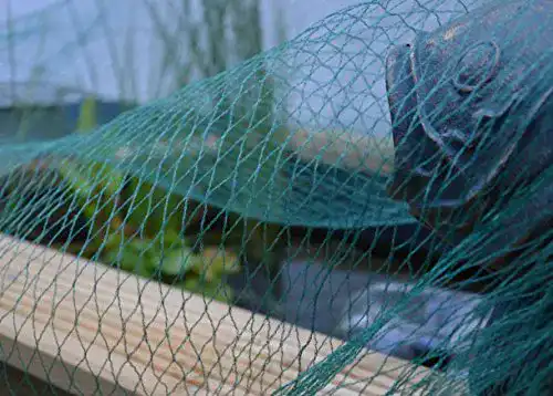 Teichnetz Pond 5 x 6 m für Laubschutz und Tierschutz im Garten