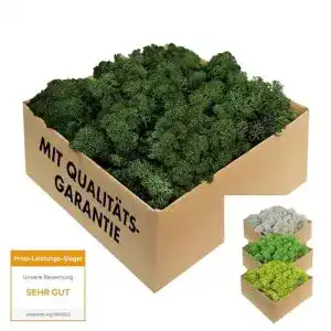 Moos GJS Island – konserviertes in 200g, 500g, 1kg und 4kg