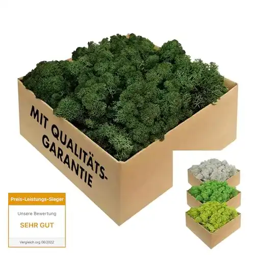 Moos GJS Island – konserviertes in 200g, 500g, 1kg und 4kg